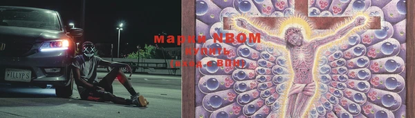 PSILOCYBIN Майский