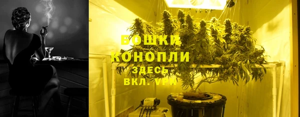 сатива Сатка
