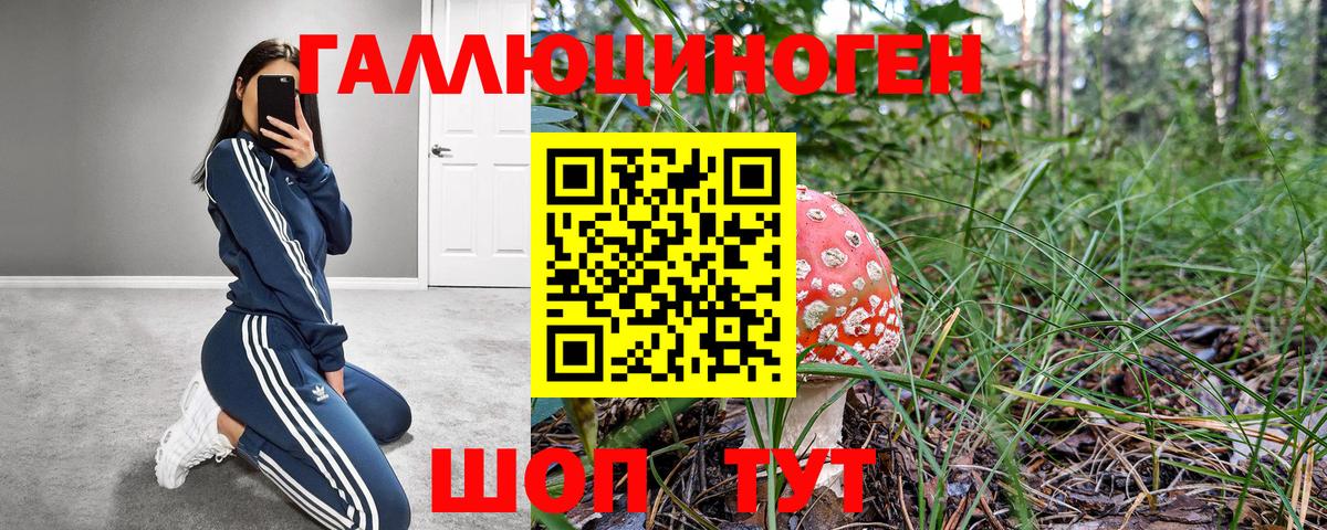 Галлюциногенные грибы GOLDEN TEACHER  Псилоцибиновые грибы Psilocybine cubensis  хочу наркоту  Нижнекамск 