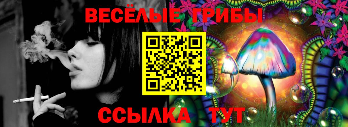 Псилоцибиновые грибы мицелий Нижнекамск